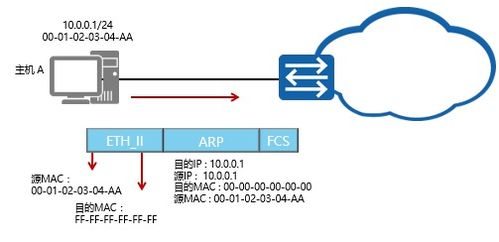 ARP協議解析與Dragon S網絡信息設備技術咨詢指南